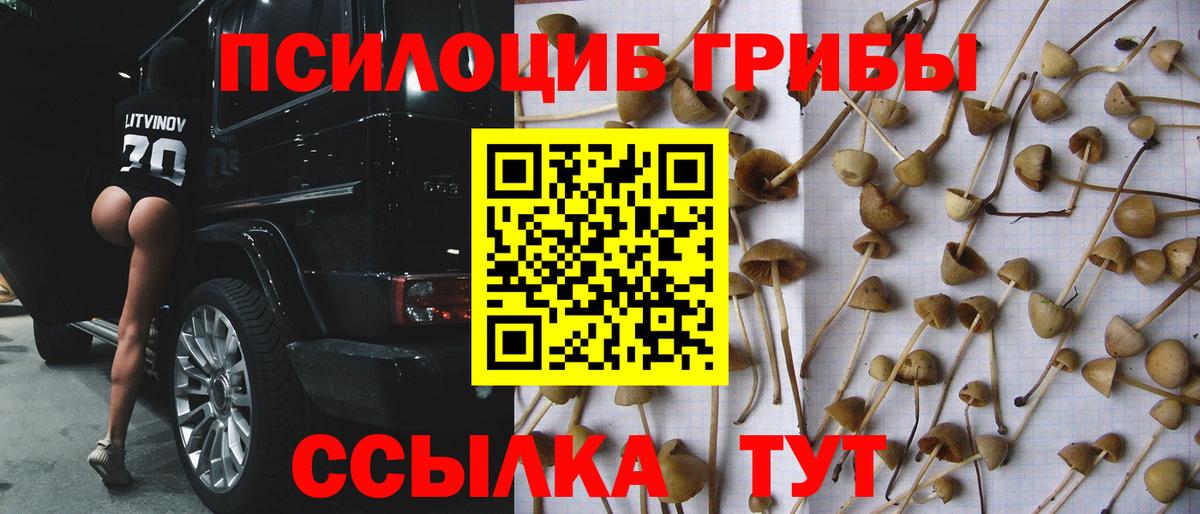 Гурьевск  Галлюциногенные грибы мицелий  Вход с VPN 